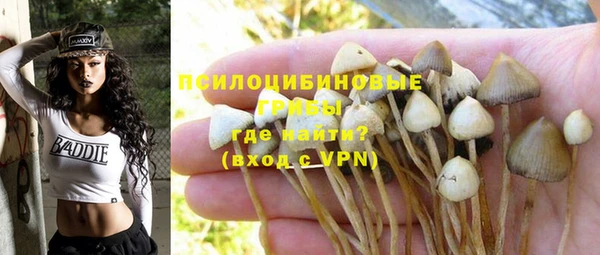кокаин премиум Алексин