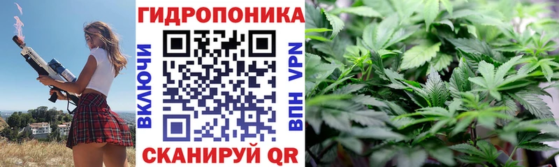 Шишки марихуана Ganja  блэк спрут ссылки  Мышкин 